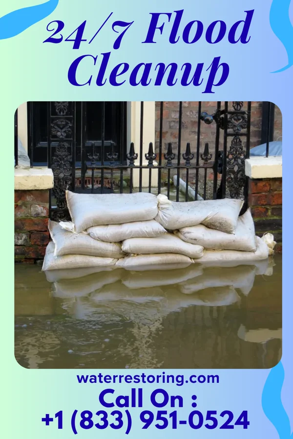 24/7 Flood Cleanup in Hollow Rock, TN