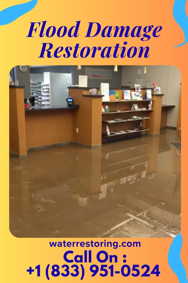 Flood Damage Restoration in Hollow Rock, TN