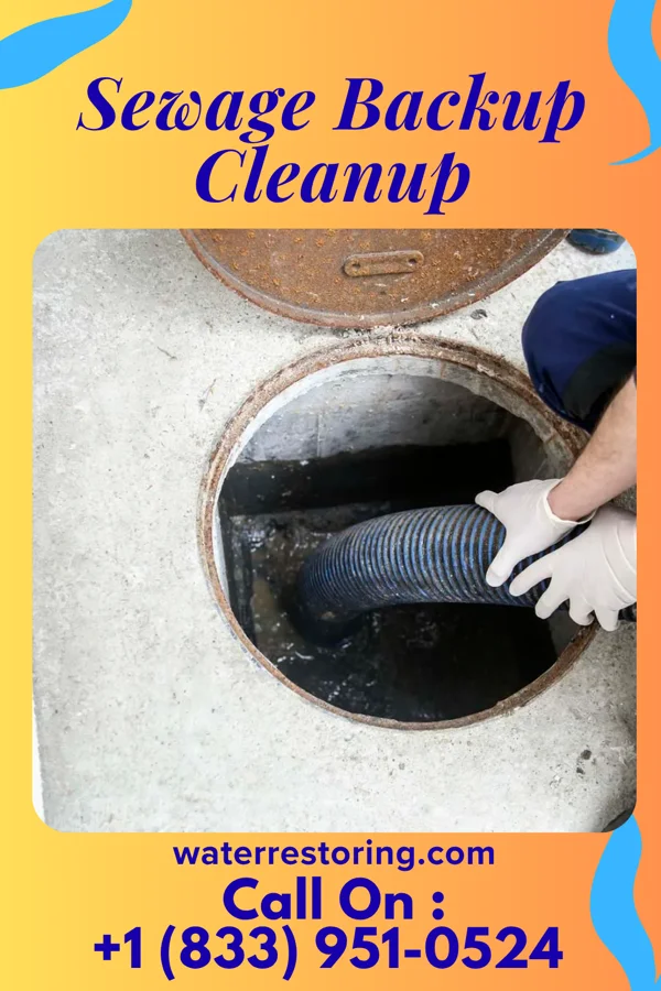 Sewage Backup Cleanup in Hollow Rock, TN