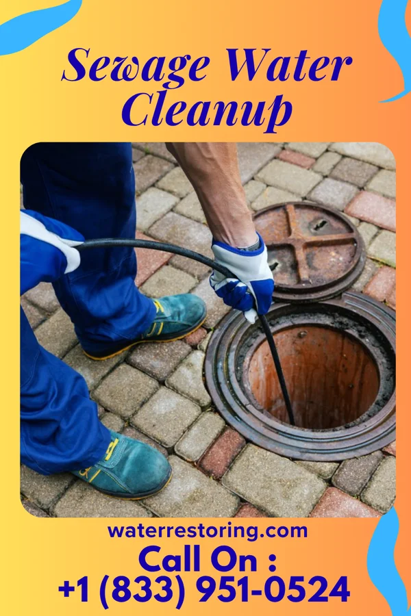 Sewage Water Cleanup in Hollow Rock, TN